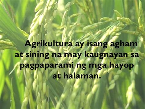 sektor ng agrikultura poster slogan|9 Free Templates for 'Ng agrikultura' .